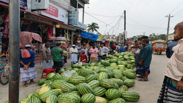 "তজুমদ্দিনে সস্তায় মিলছে  তরমুজ: হাসি ফুটেছে সাধারণ ক্রেতাদের মুখে"