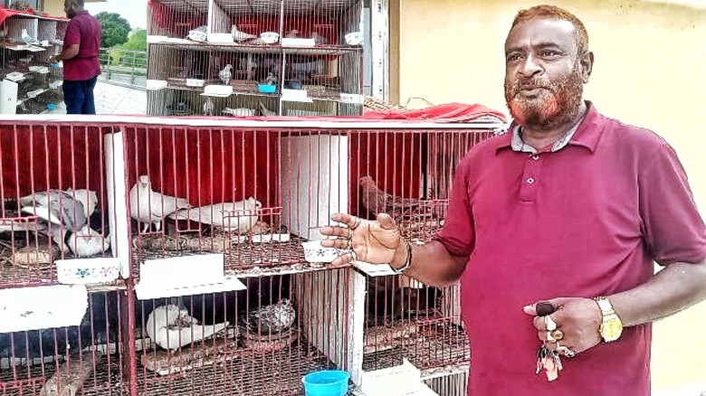 দিনাজপুরের পার্বতীপুরে পাখিপ্রেমী উদ্যোক্তার দেখা মিললো বাংলাদেশ পুলিশে।