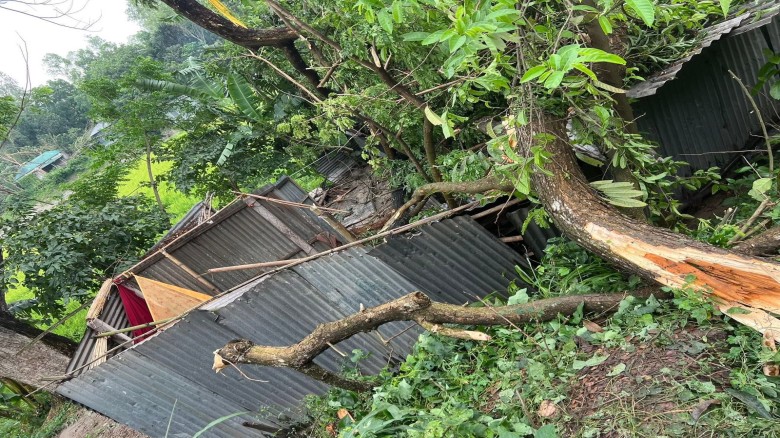 উল্লাপাড়ায় কালবৈশাখীর তাণ্ডব: ঘুমন্ত অবস্থায় প্রাণ হারালেন নাসিমা খাতুন