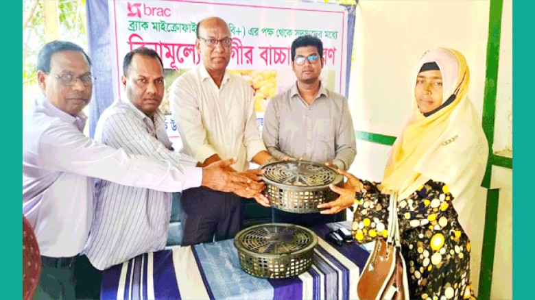 উল্লাপাড়ায় ব্র্যাকের উদ্যোগে বিনামূল্যে ৬০০ সোনালী মুরগির বাচ্চা বিতরণ
