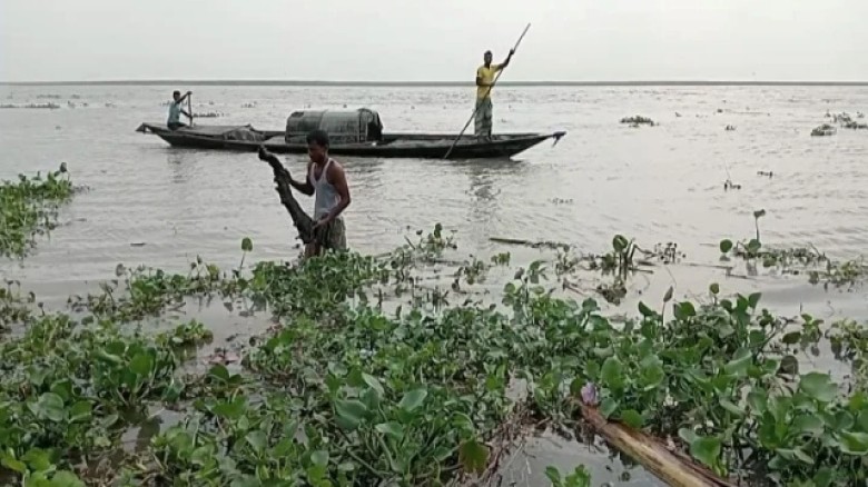 উজান থেকে নেমে আসা বৃষ্টির  অথৈ পানিতে টইটুম্বুর যমুনা  নদী