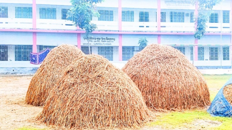 কৃষকদের উঠানে পরিণত হয়েছে সিরাজগঞ্জ  রায়দৌলতপুর উচ্চ বিদ্যালয় মাঠ