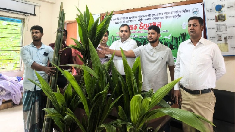 সুবর্ণচরে ৬০০ কৃষকের মাঝে ৩ হাজার নারকেল চারা বিতরণ