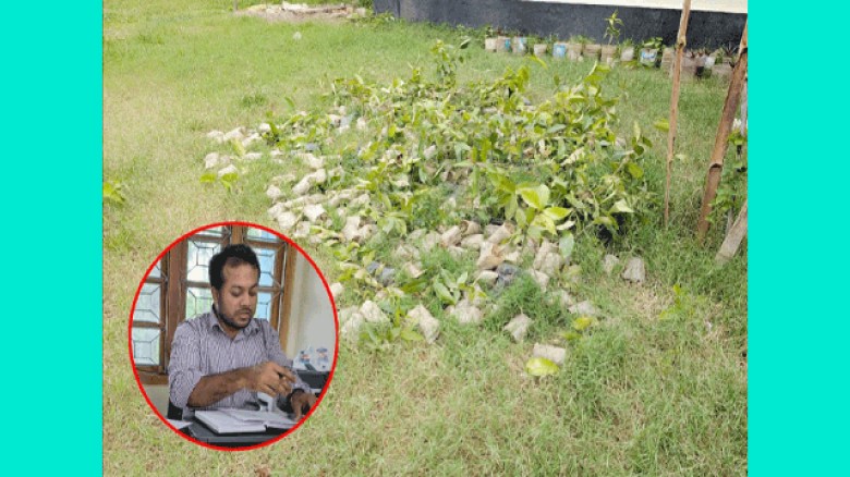 বান্দরবানে করলিয়া প্রকল্পে চারা বিতরণে অনিয়মের অভিযোগ জেলা কর্মকর্তার বিরুদ্ধে